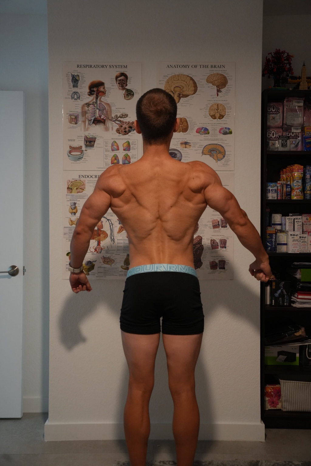 Emmanuil Rudakov during his Men’s Physique preparation, back view